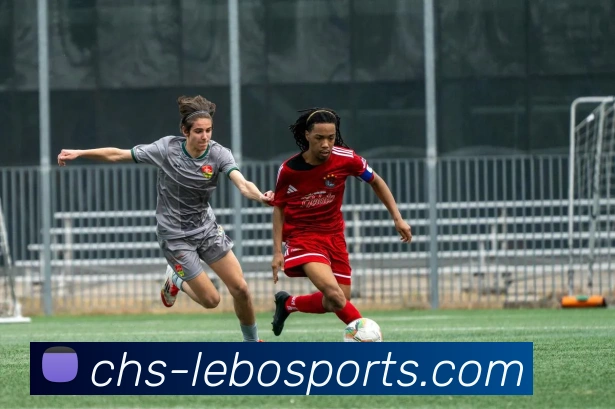 数据防护可视化